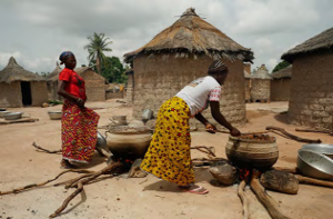 Problématique karité au Burkina-Faso