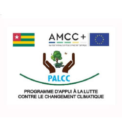 logo UE- AMCC- PALCC