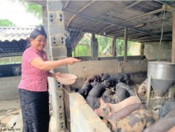 Tong Thi Noi