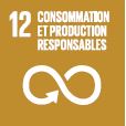 ODD Consommation et production responsable